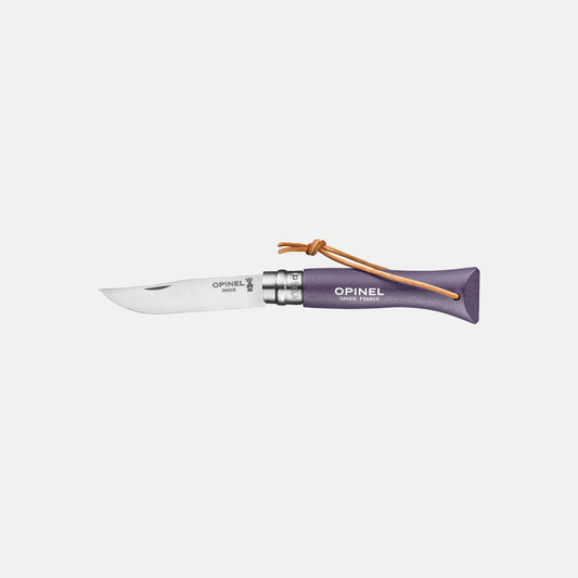 N06 baroudeur violet gris